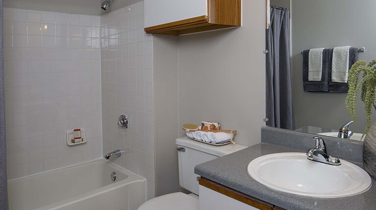 Bathroom with Tub Shower